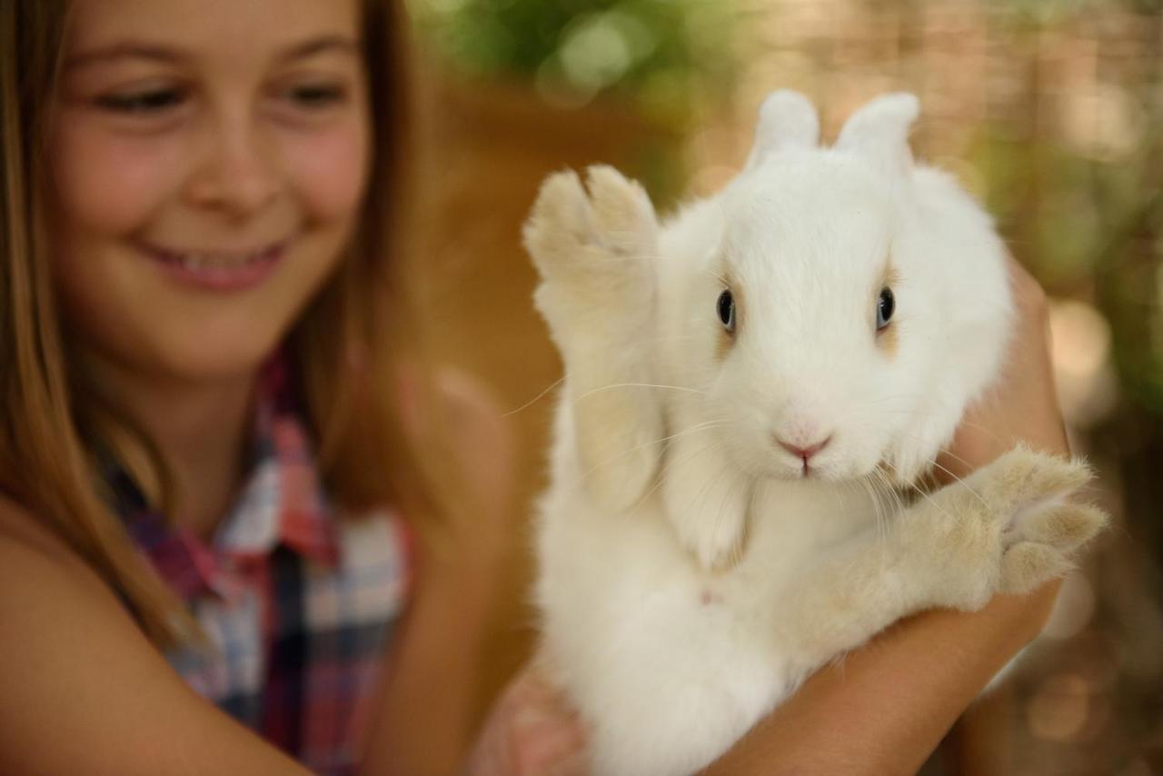 Bavaria Biohotel การ์มิช-พาร์เทนเคียร์เชน ภายนอก รูปภาพ